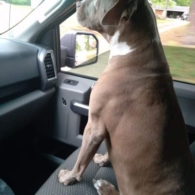 BillyLyle12's profile picture. 