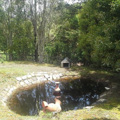 LuisTov69768501's profile picture. Ingeniero. Fanático de las antigüedades. Los políticos deben servir al país y no al contrario!