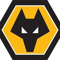 dave🐺🇬🇧 (@davewwfc1877) 's Twitter Profile