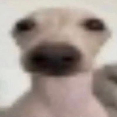 rimtimtagi's profile picture. 