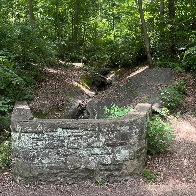 arkitektx0's profile picture. 