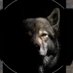 Esrigün (@liderinizinde1) Twitter profile photo