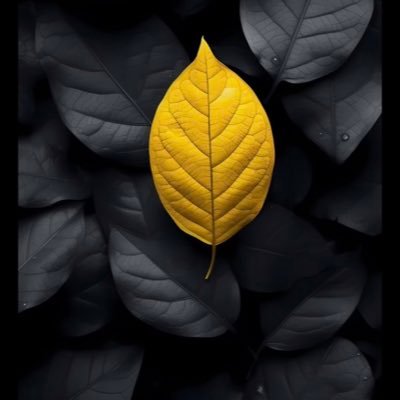 14sm2020's profile picture. 