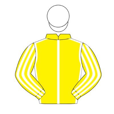 Experience the excitement of horse racing ownership with Mark Daniel Racing