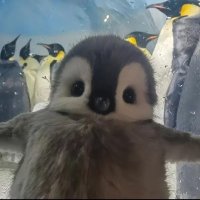 Léa Demulder (@leadmldr) 's Twitter Profile