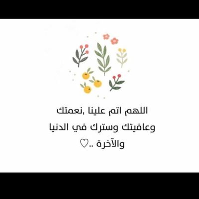 MoghrabiRo73535's profile picture. 