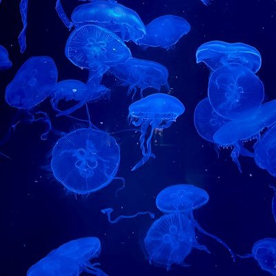 httq_09's profile picture. 東北09 しょうもないことつぶやいてます