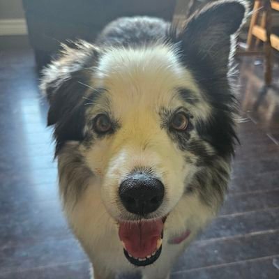 island-in-the-sun 🇨🇦