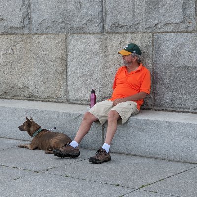 You don't need an old man and a dog to know which way the wind blows.