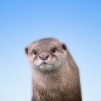 ๐ฌ๐๐ญ๐จ๐ง๐ (@tsxloq___) 's Twitter Profile