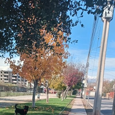 PiaMuoz80351721's profile picture. 