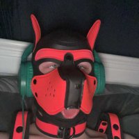 Robin (@puprobinvelvet) 's Twitter Profile