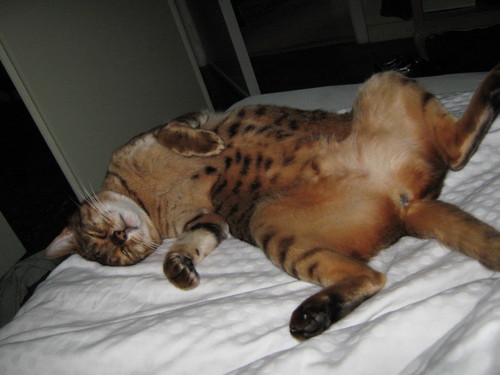 passemoileble's profile picture. 