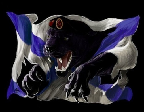 misha91191's profile picture. 