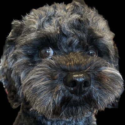 static_assert(false) Profile