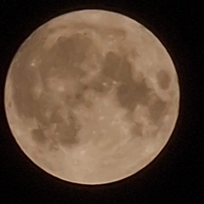 7wizzard7Ghost's profile picture. Observer