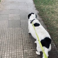 soll☀️ (@soli2536) 's Twitter Profile