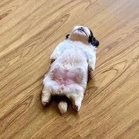 l3LUE-SKULL (@l3lueskull) Twitter profile photo