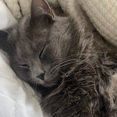 Lyssawyssa's profile picture. 