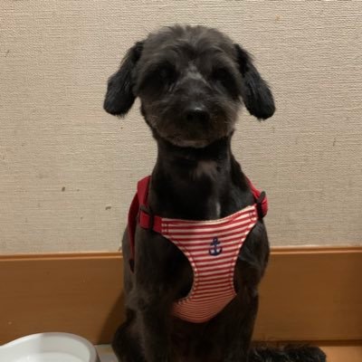 bkocB7bE3pblHVn's profile picture. 無断フォロー申し訳ありません。世の中の真実に興味津々です。