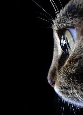 G026703's profile picture. Simplemente soy genial... Y para comprobarlo aquí les dejo mi pin:2193679F