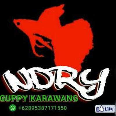 KSoepardi50475's profile picture.