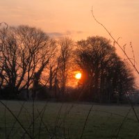 Steve Mitchell (@heightandspeed) 's Twitter Profile