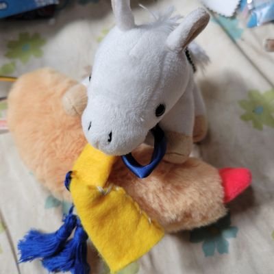 Chi07040002oy's profile picture. こんにちは。様々なことをツイートしています。よろしくお願いいたします。
(24.3.12追記)
いつも多くの反応を頂くのは大変ありがたいことではありますが、私が不快だと判断したアカウントには然るべき対応をさせていただくことがありますので、よろしくお願いいたします。