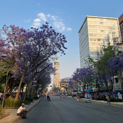 m_tere_gm's profile picture. #cybersecurity #wic