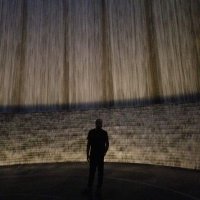 Cornered Tiger (@cdeekey) 's Twitter Profile