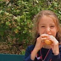 palo (@palofefe) 's Twitter Profile Photo