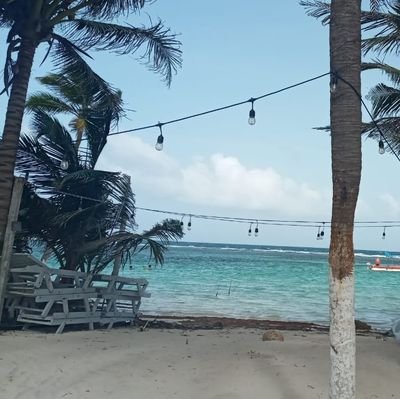 huracanBeryl's profile picture. 