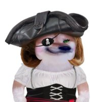 Wende🎗️🐝 🏴☠️ (@wendehopes) 's Twitter Profile Photo Wende🎗️🐝 🏴☠️ (@wendehopes) 's Twitter Profile Photo