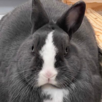 Scillaさんのプロフィール画像