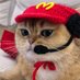 McCat (@mccatcto) Twitter profile photo McCat (@mccatcto) Twitter profile photo
