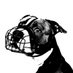 bad dawg (@littlerockdawg) Twitter profile photo bad dawg (@littlerockdawg) Twitter profile photo