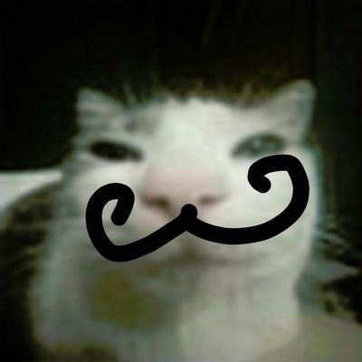 .さんのプロフィール画像