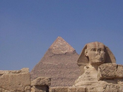 angemassoni's profile picture. 