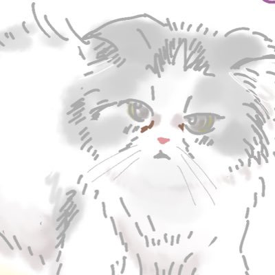 juisan_des's profile picture. 一般通過おたく / GR