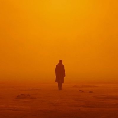 itsDezzytoYou's profile picture. Chels. That's it! 🦁💙