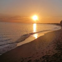 Posh And Proud (@poshandproud1) 's Twitter Profile Photo