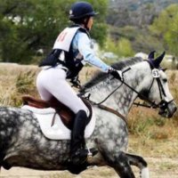 Annie Sheffer (@horseyannie) 's Twitter Profile Photo Annie Sheffer (@horseyannie) 's Twitter Profile Photo