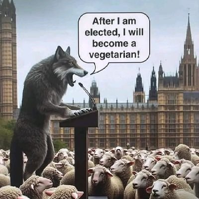 Ken_muliro's profile picture. Electrically functioning