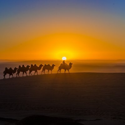 Foreveryone2024's profile picture. 