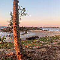 心痛 (@sy356066) 's Twitter Profile