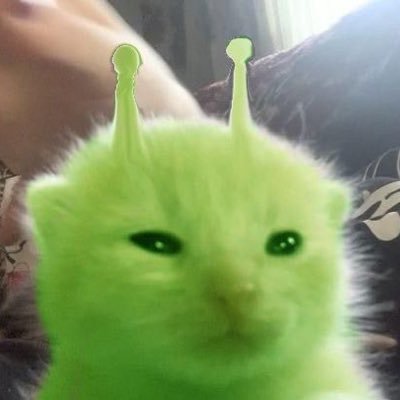 hapii .ᐟ VGENさんのプロフィール画像