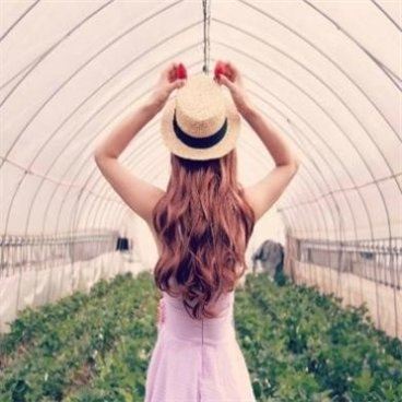 Kotone598149's profile picture. 投資家 資産31億円 資産をひとりで使えないので社会貢献としてフォロワーさんに毎日現金をすぐ分配しています。フォローした人限定で受取りかたをDMします 配布はここ👉https://t.co/66DmskwtnG