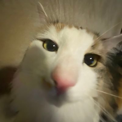 indi6969x's profile picture. 