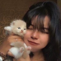 ki (@kiorcally) 's Twitter Profile Photo ki (@kiorcally) 's Twitter Profile Photo