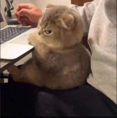 ohwellitskeny's profile picture.